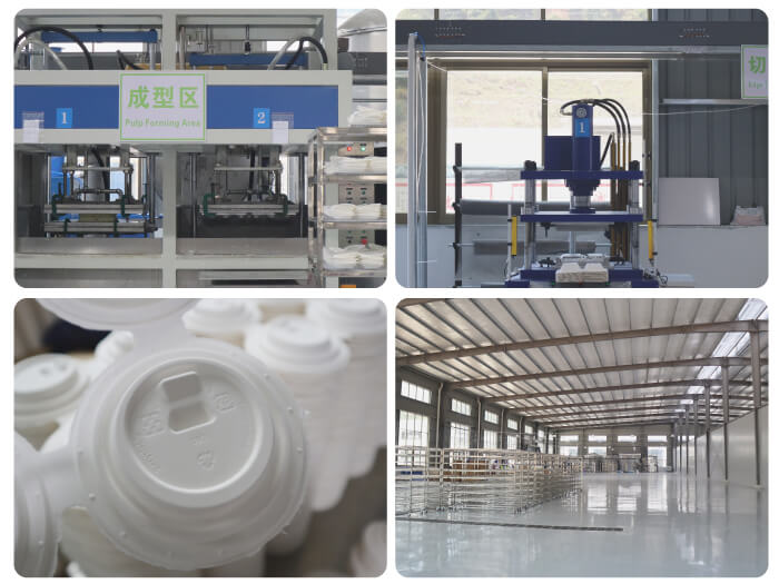Biodegradable cup lids production based-environmental and Plastic-free