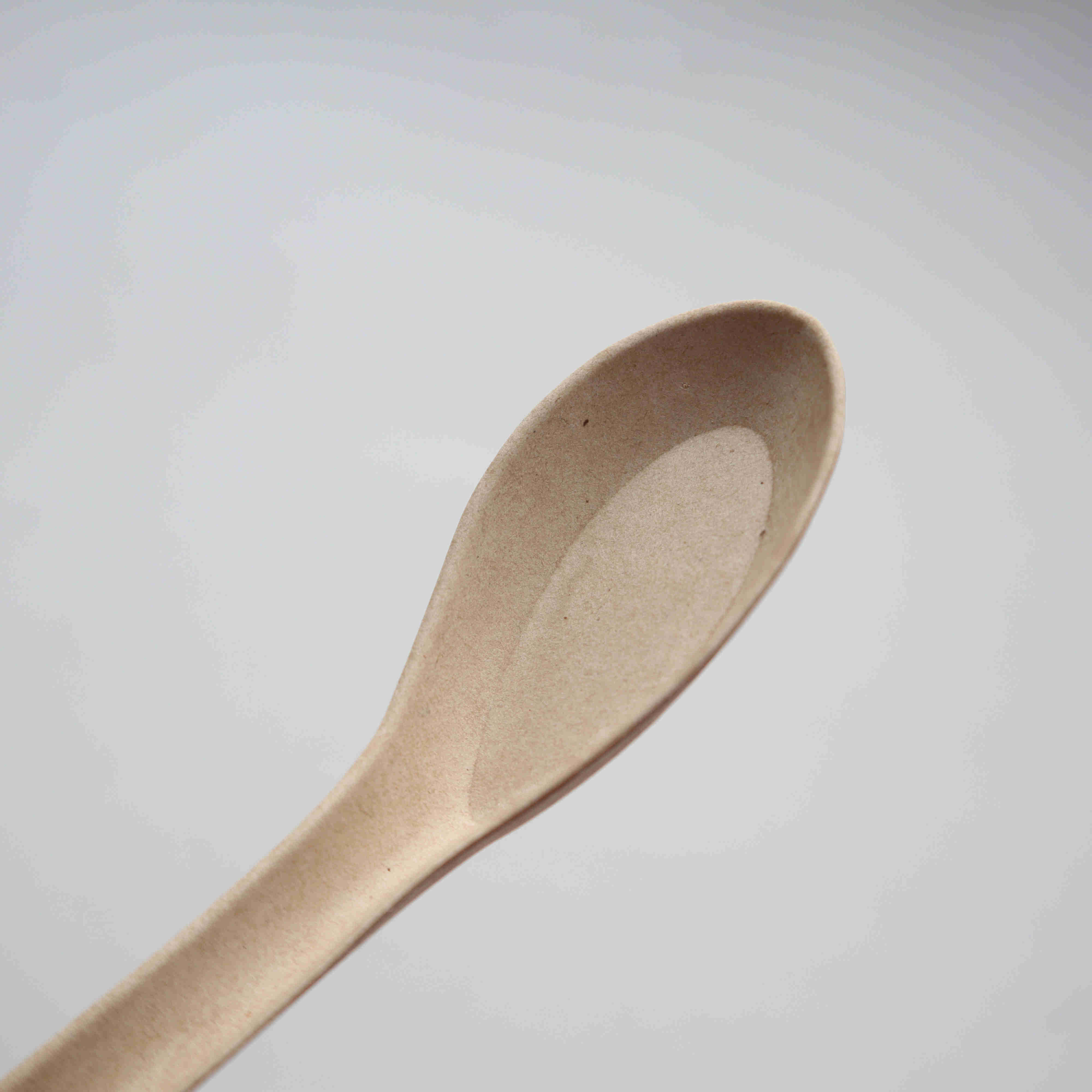 Disposable compostable spoon for dinner from GREENOLIVE