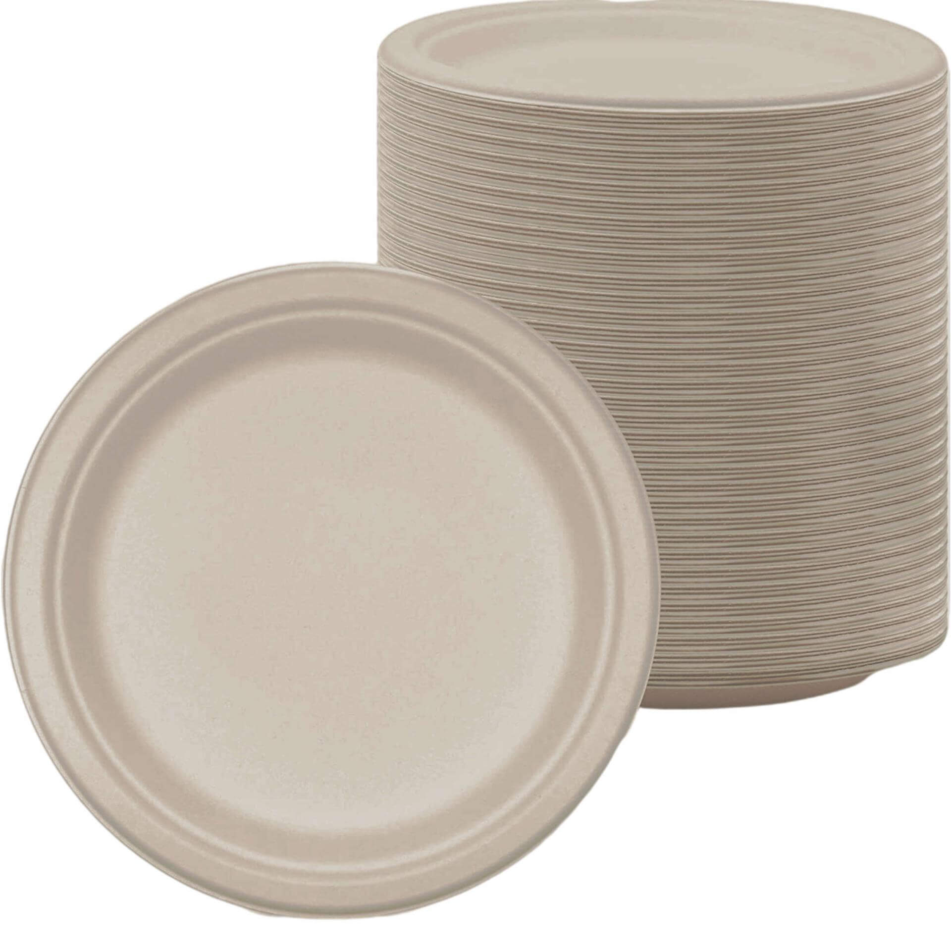 Bagasse disposable plates natural