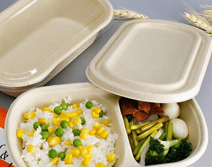 Degradable takeaway lunch boxes replace plastic lunch boxes