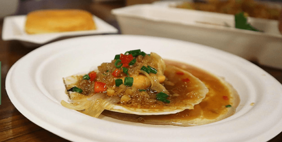 Why choose eco disposable plates