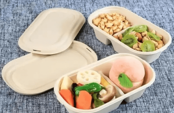 biodegradable bowls and plates replace single-use plastic products
