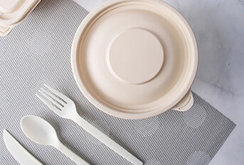 biodegradable bagasse tableware quietly stands out