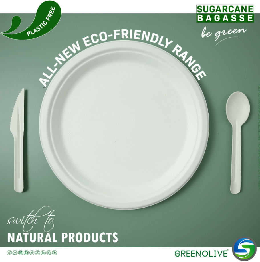 Market changes of eco friendly disposable dishes in the next 5 years