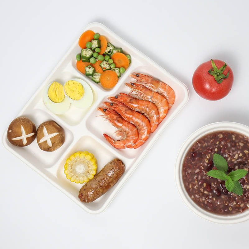 LUNCH TRAY for Meals made of Sugarcane left overs - 5 Cup - FreshOn