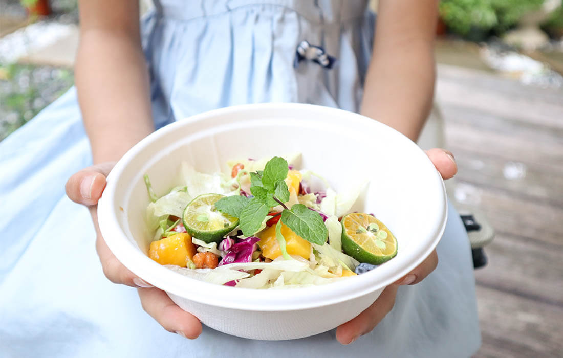 Biodegradable Bowls