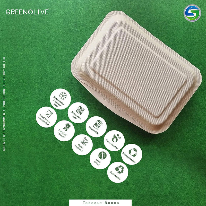 degradable bagasse tableware