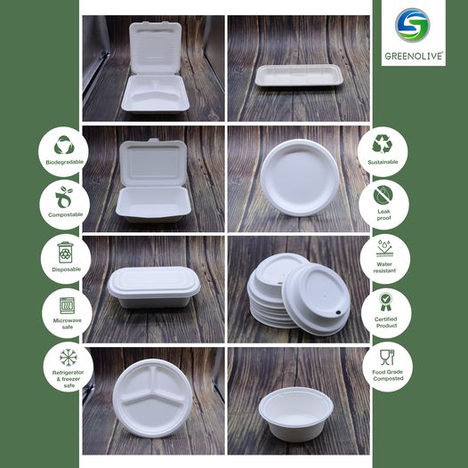 biodegradable tableware