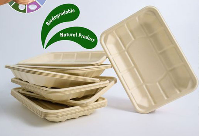 Bagasse tableware, get to know