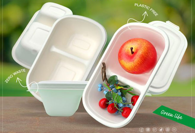 bagasse tableware