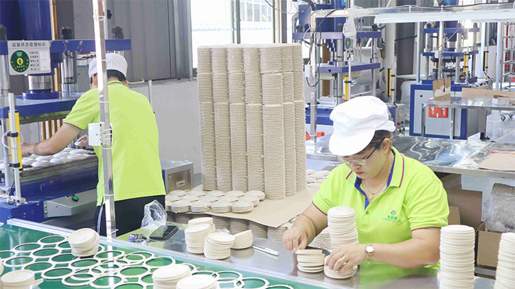 degradable tableware manufacturer