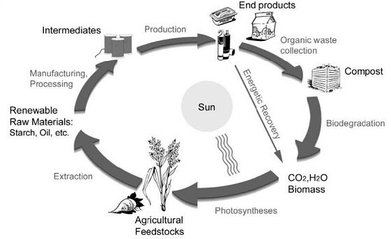 Industrial Compostable of Degradable Materials