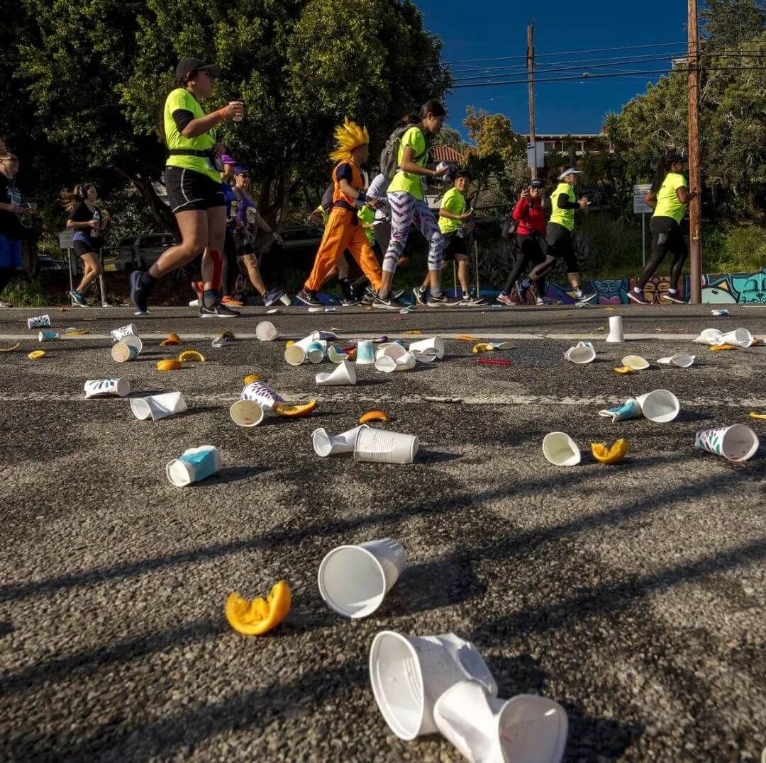 biodegradable cups 