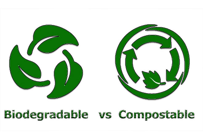 Difference Between Biodegradable and Compostable