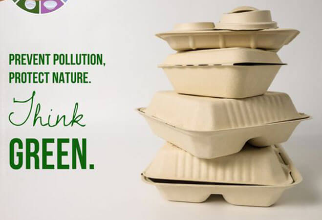 biodegradable tableware