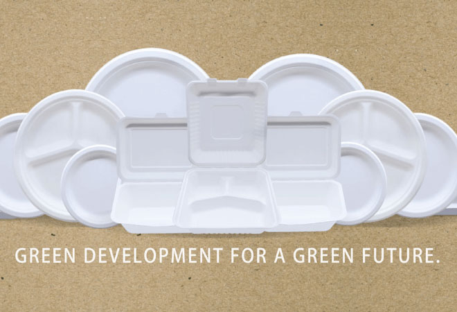 bagasse packaging