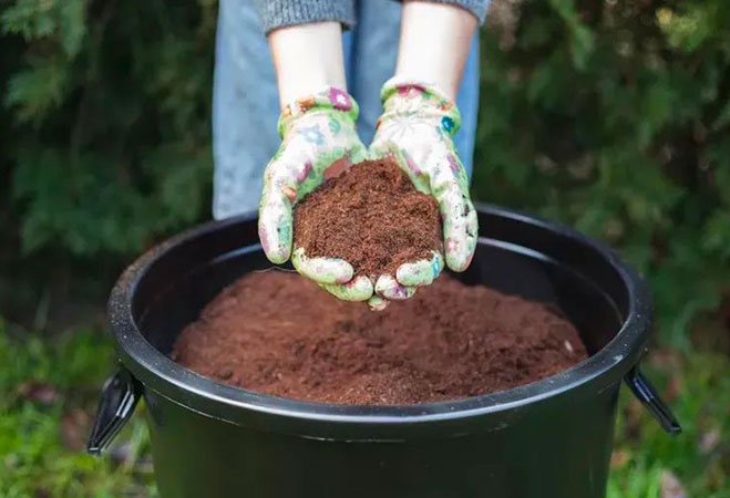 Difference Between Biodegradable and Compostable