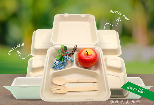 Biodegradable Tableware