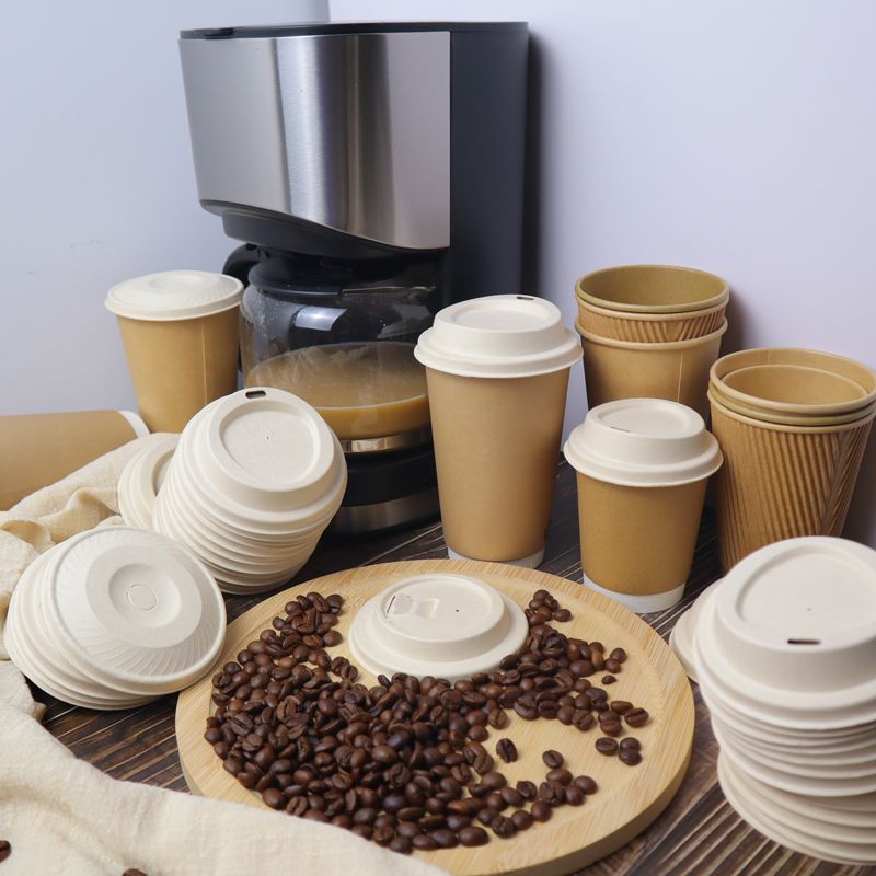 Biodegradable Cup Lids: The Smart Choice for Eco-Friendly Businesses in 2025