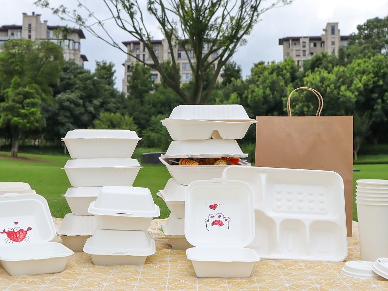 What is a Bagasse Container? The Ultimate Guide to Sustainable Food Packaging
