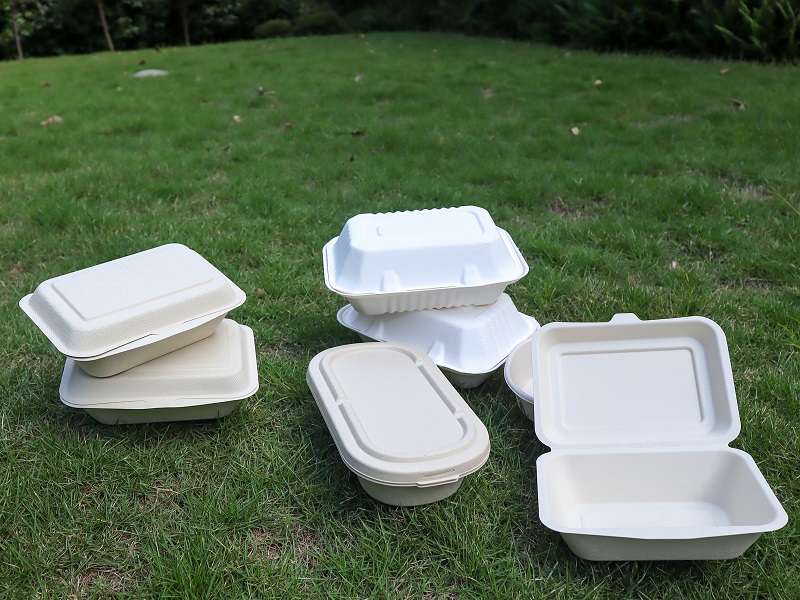 Biodegradable Sugarcane Bagasse Containers: The Ultimate Eco-Friendly Packaging Solution