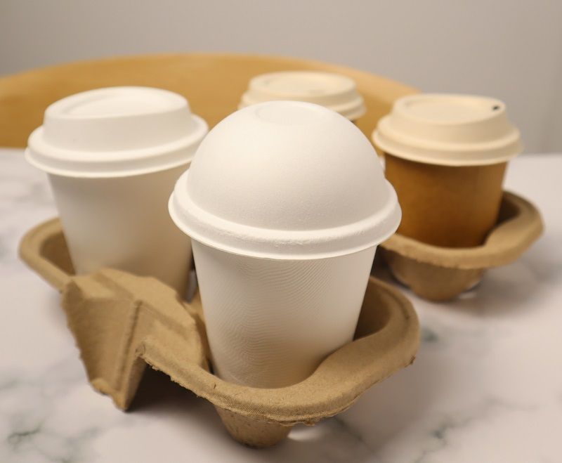Disposable Recycled Pulp Cup Holders | Customizable 2-Cup & 4-Cup Holders Manufacturer