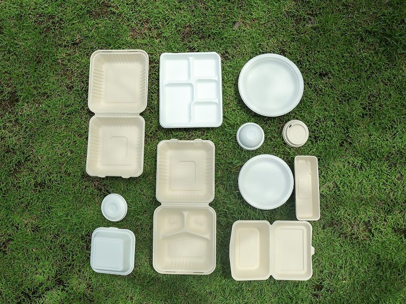 Premium Bagasse Tableware Manufacturer | Eco-Friendly Disposable Plates & Bowls | GREEN OLIVE